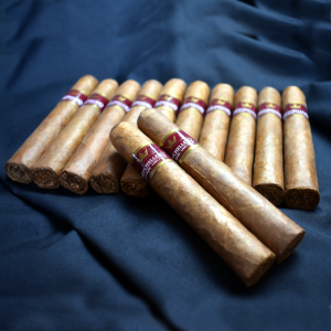 LIGHTNING DEAL - 10 + 2 Mitchellero Robusto Sampler - 12 Cigars